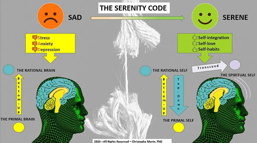 The Serenity Code — SAD to SERENE transformation model