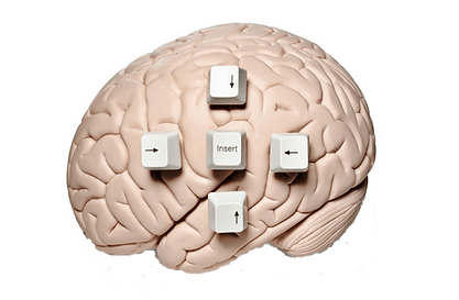 Decoding Habits — neural habit loops