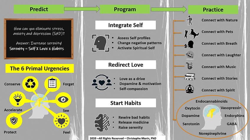 The Serenity Code — Predict, Program, Practice framework